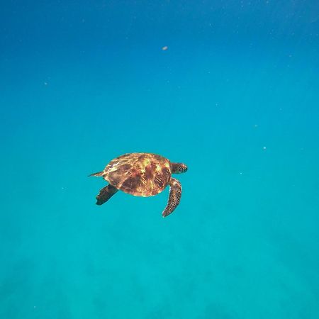 Slow Island Hostel กรีนไอแลนด์ ภายนอก รูปภาพ