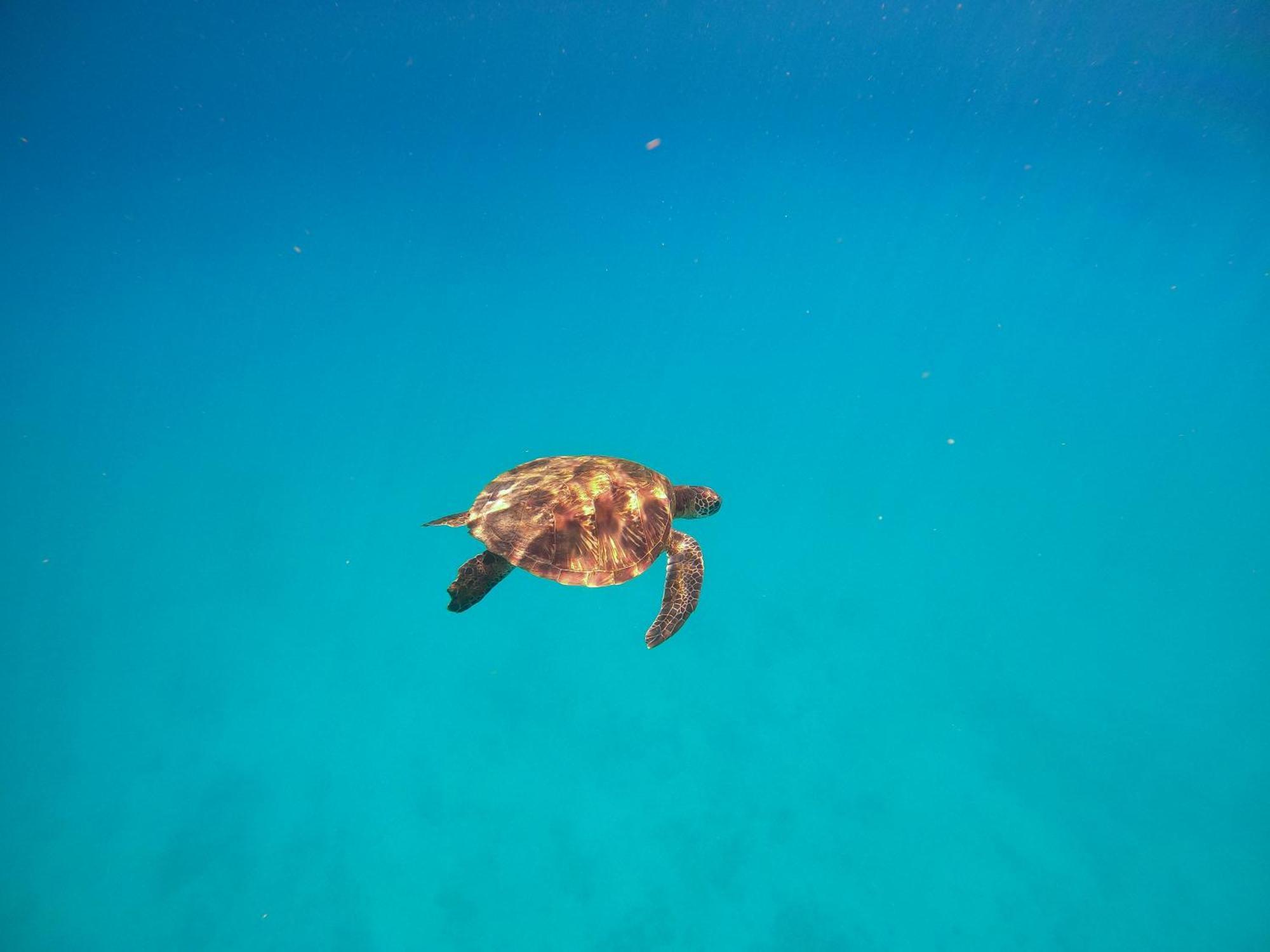 Slow Island Hostel กรีนไอแลนด์ ภายนอก รูปภาพ
